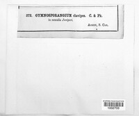 Image Associated With the Occurence